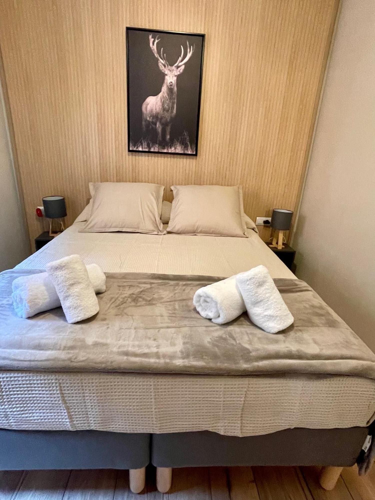 Cal Querol 1 - Centre Apartment Puigcerda Ngoại thất bức ảnh
